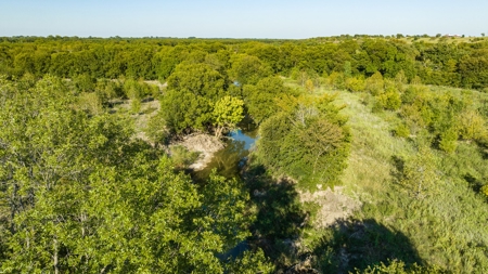 TX Hunting Property South of DFW for Sale Palmer in Ellis Co - image 14
