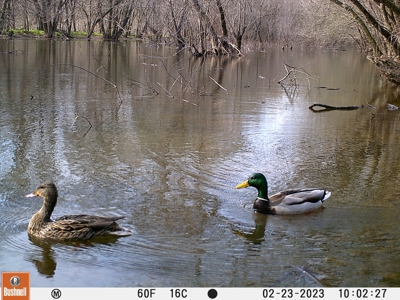 TX Hunting Property South of DFW for Sale Palmer in Ellis Co - image 35