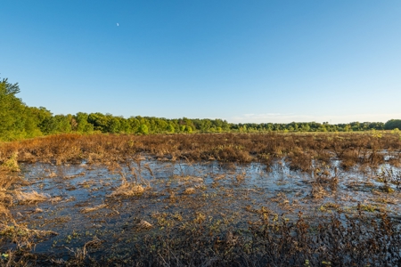 TX Hunting Property South of DFW for Sale Palmer in Ellis Co - image 22