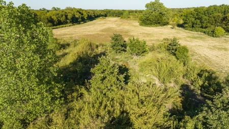 TX Hunting Property South of DFW for Sale Palmer in Ellis Co - image 16