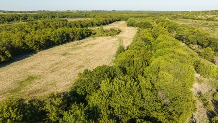 TX Hunting Property South of DFW for Sale Palmer in Ellis Co - image 15