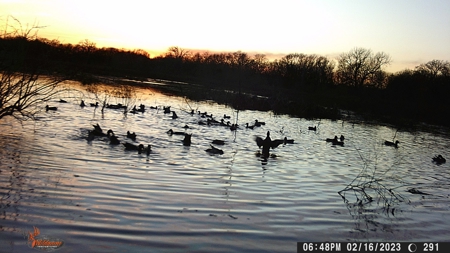 TX Hunting Property South of DFW for Sale Palmer in Ellis Co - image 47