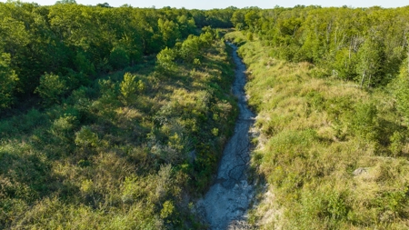 TX Hunting Property South of DFW for Sale Palmer in Ellis Co - image 11