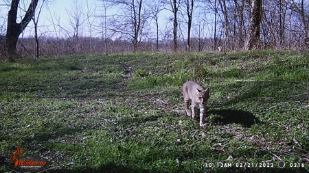TX Hunting Property South of DFW for Sale Palmer in Ellis Co - image 50