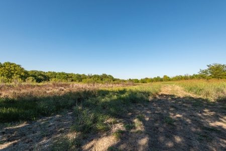 TX Hunting Property South of DFW for Sale Palmer in Ellis Co - image 6