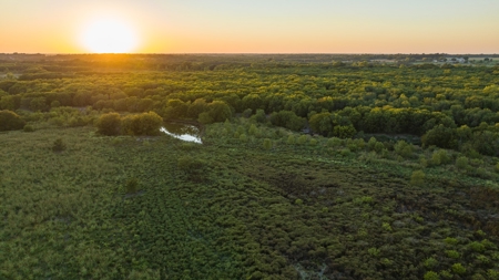 TX Hunting Property South of DFW for Sale Palmer in Ellis Co - image 29