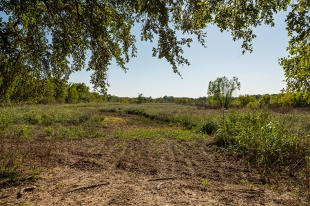 TX Hunting Property South of DFW for Sale Palmer in Ellis Co - image 5
