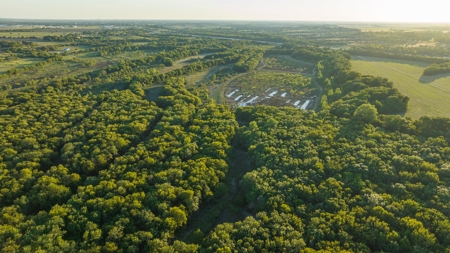 TX Hunting Property South of DFW for Sale Palmer in Ellis Co - image 24
