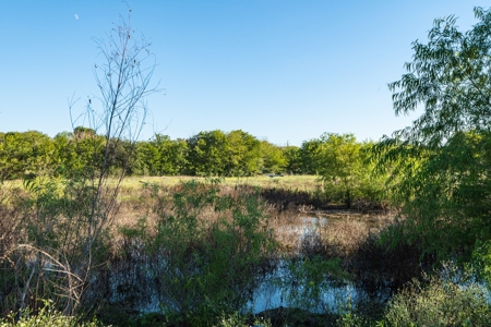 TX Hunting Property South of DFW for Sale Palmer in Ellis Co - image 20
