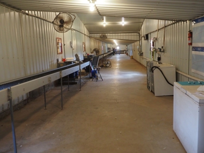 4 House Poultry Breeder Farm with 40 Acres SW Miss - image 30