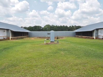 4 House Poultry Breeder Farm with 40 Acres SW Miss - image 6
