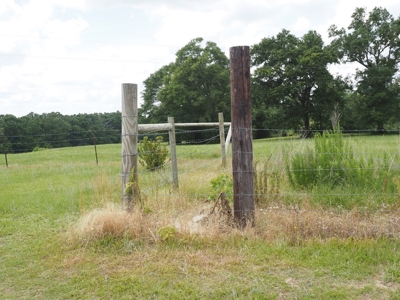 4 House Poultry Breeder Farm with 40 Acres SW Miss - image 42