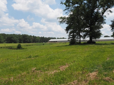 4 House Poultry Breeder Farm with 40 Acres SW Miss - image 40