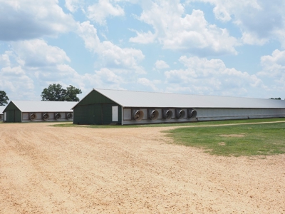 4 House Poultry Breeder Farm with 40 Acres SW Miss - image 13