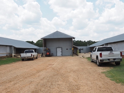 4 House Poultry Breeder Farm with 40 Acres SW Miss - image 8