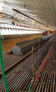 4 House Poultry Breeder Farm with 40 Acres SW Miss - image 20