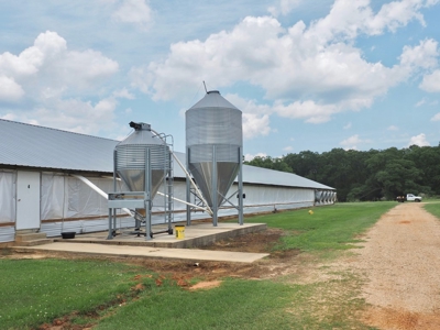 4 House Poultry Breeder Farm with 40 Acres SW Miss - image 4