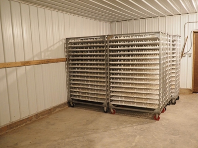 4 House Poultry Breeder Farm with 40 Acres SW Miss - image 29