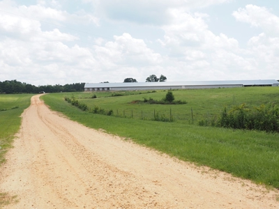 4 House Poultry Breeder Farm with 40 Acres SW Miss - image 2