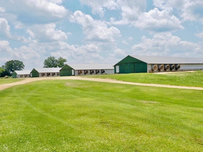 4 House Poultry Breeder Farm with 40 Acres SW Miss - image 1