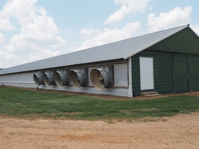 4 House Poultry Breeder Farm with 40 Acres SW Miss - image 10