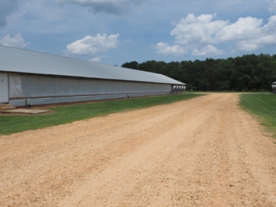 4 House Poultry Breeder Farm with 40 Acres SW Miss - image 12