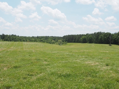 4 House Poultry Breeder Farm with 40 Acres SW Miss - image 35