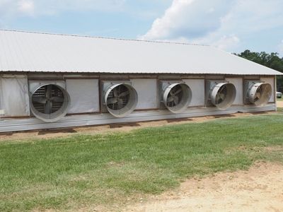 4 House Poultry Breeder Farm with 40 Acres SW Miss - image 9