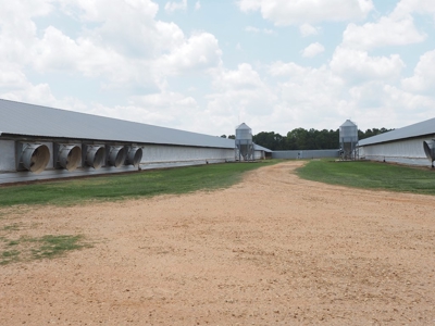 4 House Poultry Breeder Farm with 40 Acres SW Miss - image 5