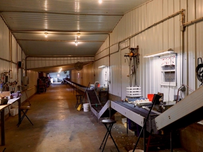 4 House Poultry Breeder Farm with 40 Acres SW Miss - image 22