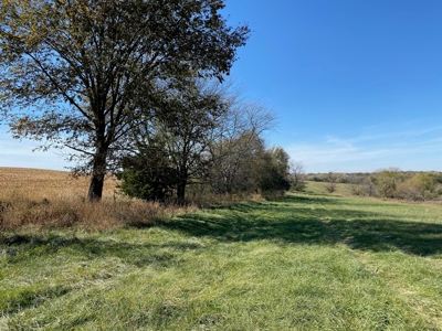 Dekalb County MO Farm with Home For Sale, NW Missouri Land - image 21
