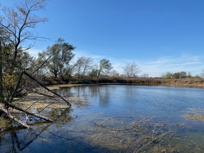 Dekalb County MO Farm with Home For Sale, NW Missouri Land - image 23