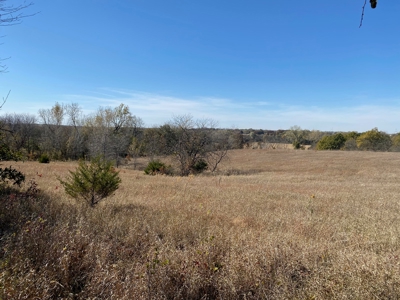 Dekalb County MO Farm with Home For Sale, NW Missouri Land - image 19