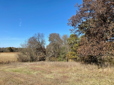 Dekalb County MO Farm with Home For Sale, NW Missouri Land - image 17