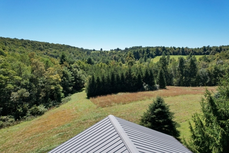 2 Log Cabins - 23 Ac± Located In Patrick County, Va - image 8