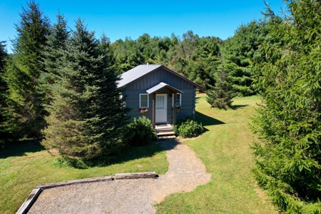 2 Log Cabins - 23 Ac± Located In Patrick County, Va - image 26