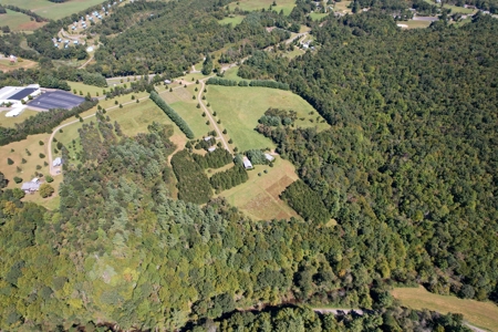 2 Log Cabins - 23 Ac± Located In Patrick County, Va - image 47