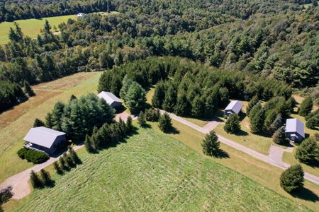 2 Log Cabins - 23 Ac± Located In Patrick County, Va - image 49