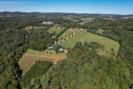 2 Log Cabins - 23 Ac± Located In Patrick County, Va - image 45