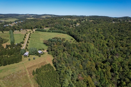 2 Log Cabins - 23 Ac± Located In Patrick County, Va - image 46