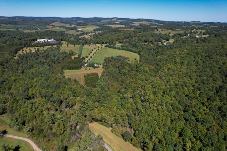2 Log Cabins - 23 Ac± Located In Patrick County, Va - image 43