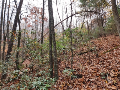 34+/- Acres of Unrestricted Land for Sale in NC Foothills! - image 26
