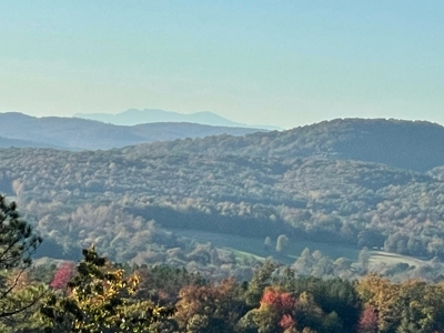 34+/- Acres of Unrestricted Land for Sale in NC Foothills! - image 7