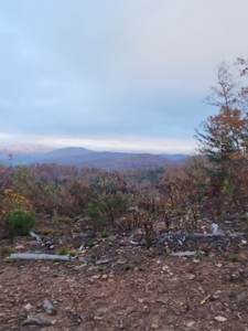 34+/- Acres of Unrestricted Land for Sale in NC Foothills! - image 19