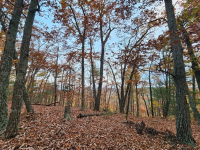 34+/- Acres of Unrestricted Land for Sale in NC Foothills! - image 11