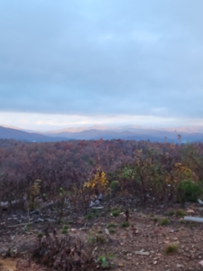 34+/- Acres of Unrestricted Land for Sale in NC Foothills! - image 18