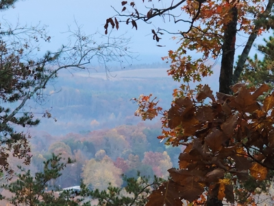34+/- Acres of Unrestricted Land for Sale in NC Foothills! - image 10