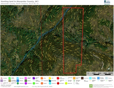 34+/- Acres of Unrestricted Land for Sale in NC Foothills! - image 1