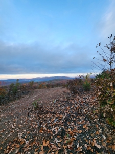 34+/- Acres of Unrestricted Land for Sale in NC Foothills! - image 17