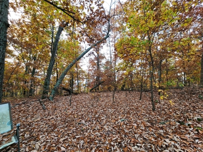 34+/- Acres of Unrestricted Land for Sale in NC Foothills! - image 13